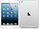 Apple iPad mini Wi Fi   Cellular pictures  official photos