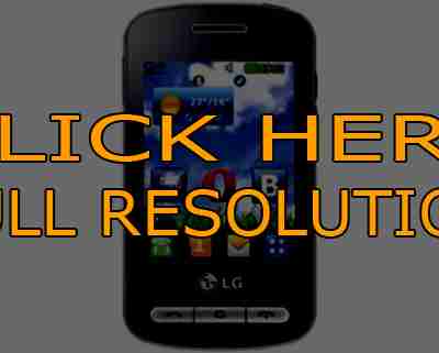 Why should you choose the LG T315 mobile phone    Blugga