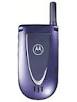 Motorola V66i   Full phone specifications